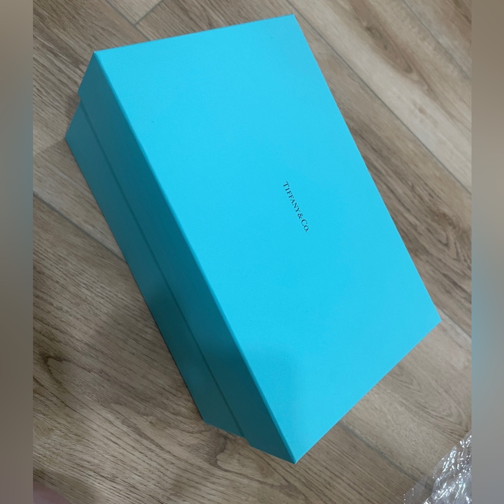 Tiffany & Co. crystal champagne glasses (2) brand new in box